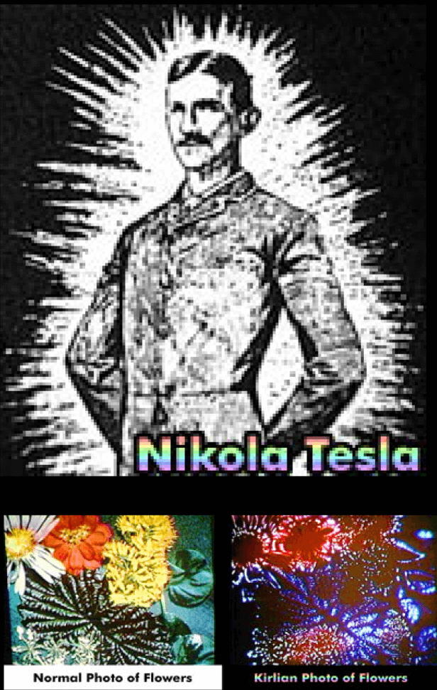nikola T